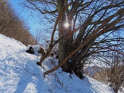 Sulle nevi del Monte Zucco da S. Antonio Abbandonato il 20 febbraio 2026 - FOTOGALLERY